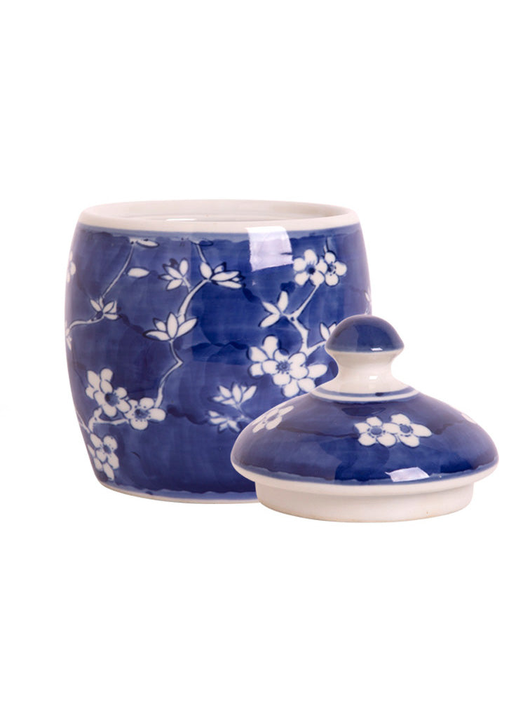 POMO AZUL Y BLANCO O CANISTER CHINO X7769AZ