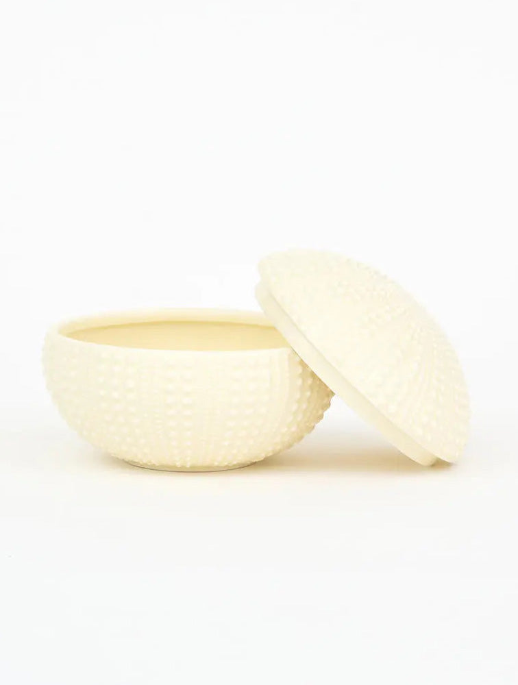 CAJA CERAMICA BEIGE ERIZO 5.1" X8085