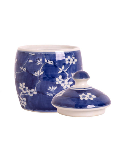 POMO AZUL Y BLANCO O CANISTER CHINO X7769AZ