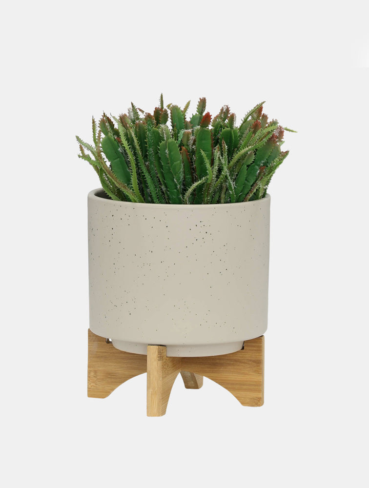 MACETAS BEIGE MATE S/2 CON PARANTE DE MADERA 5" X8024C