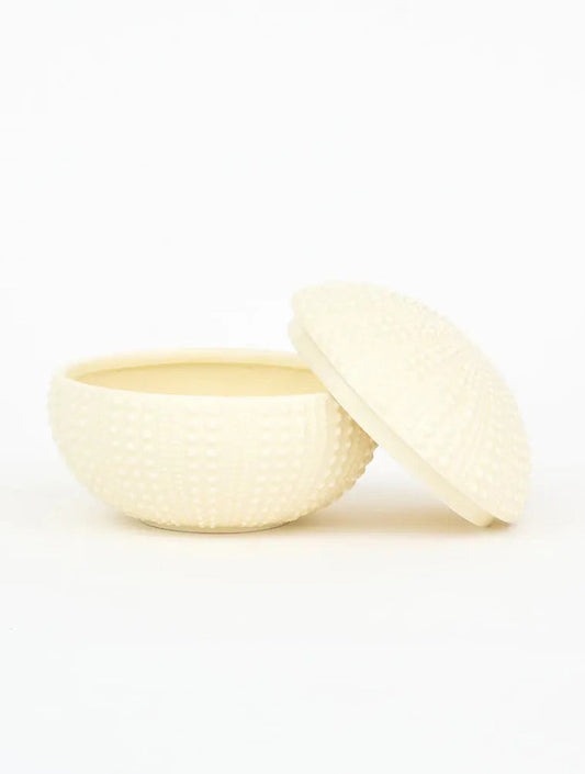 CAJA CERAMICA BEIGE ERIZO 5.1" X8085