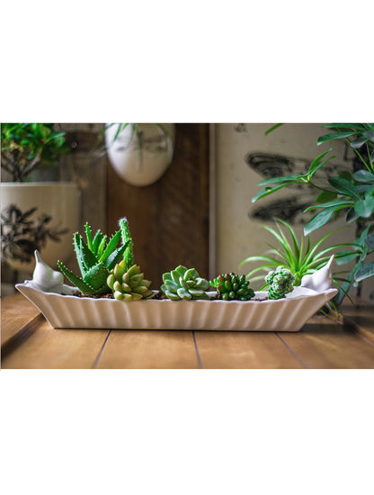 FUENTE LARGA PAJARITOS X8108