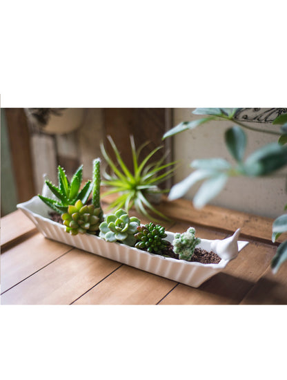 FUENTE LARGA PAJARITOS X8108